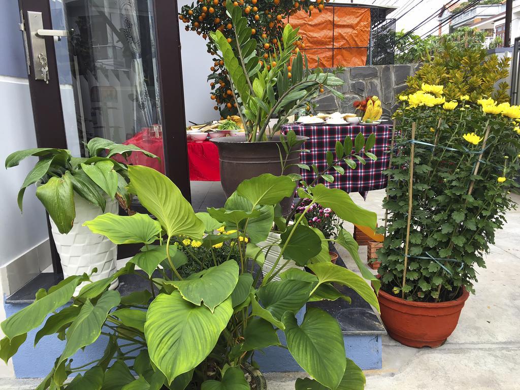 Green House Homestay 会安 外观 照片
